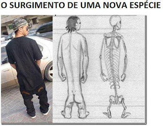 Uma nova espécie humanos