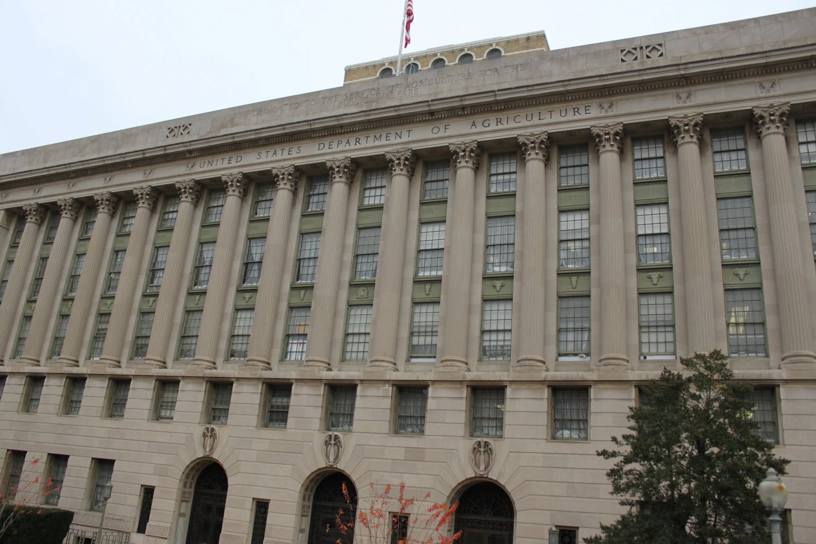 Big Bus Tours Washington DC | Lense Moments