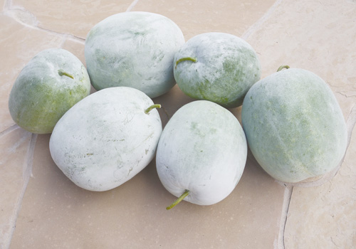 Seribupilihan Tips Tanam Kundur