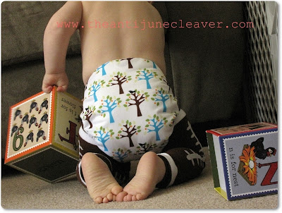 Thirsties Duo Diaper Review
