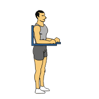 Body Animated