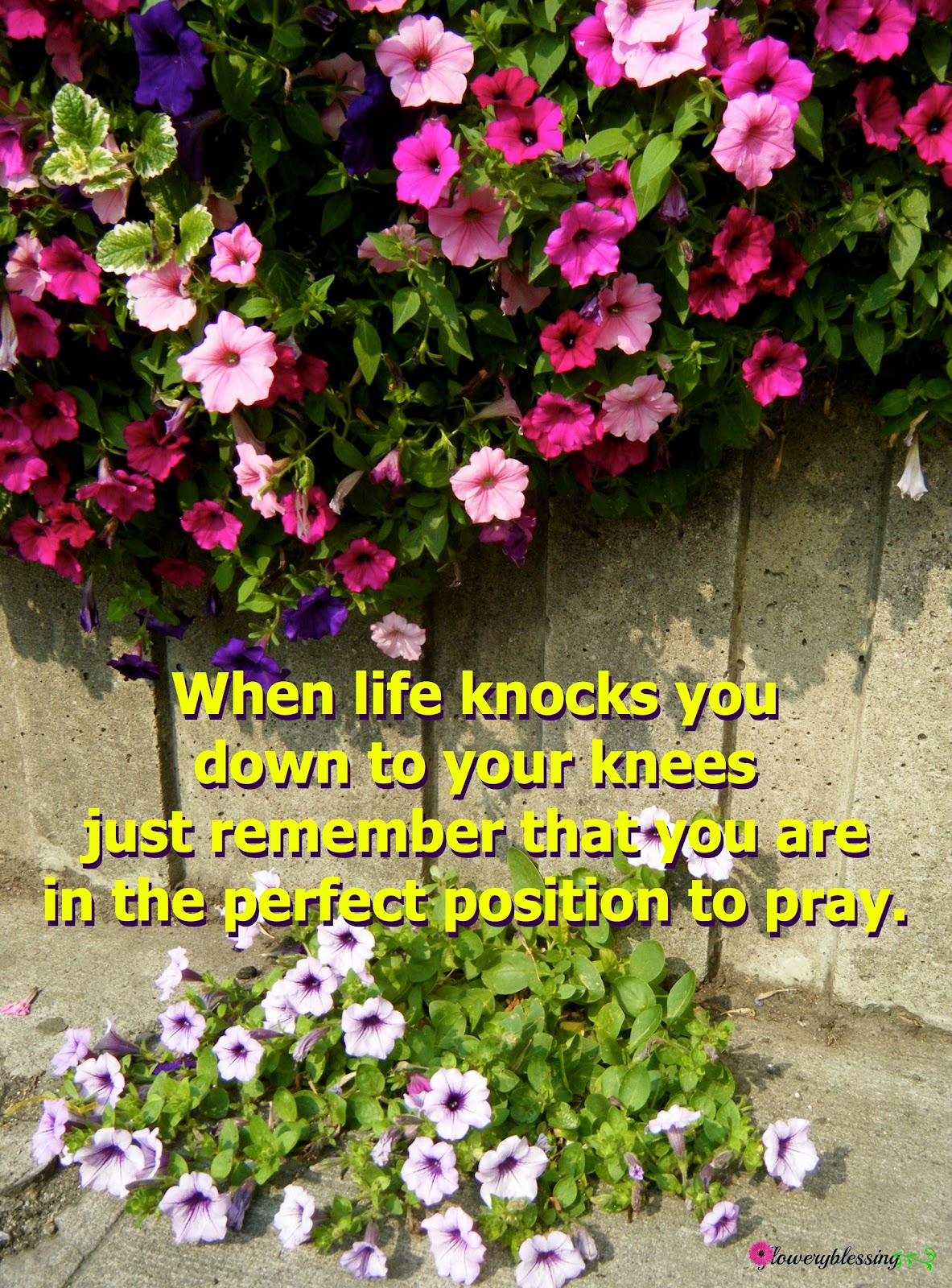 Flowery Blessing When life knocks you down to your knees just remember