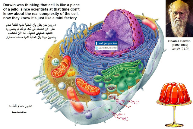 Cell in view of Darwin