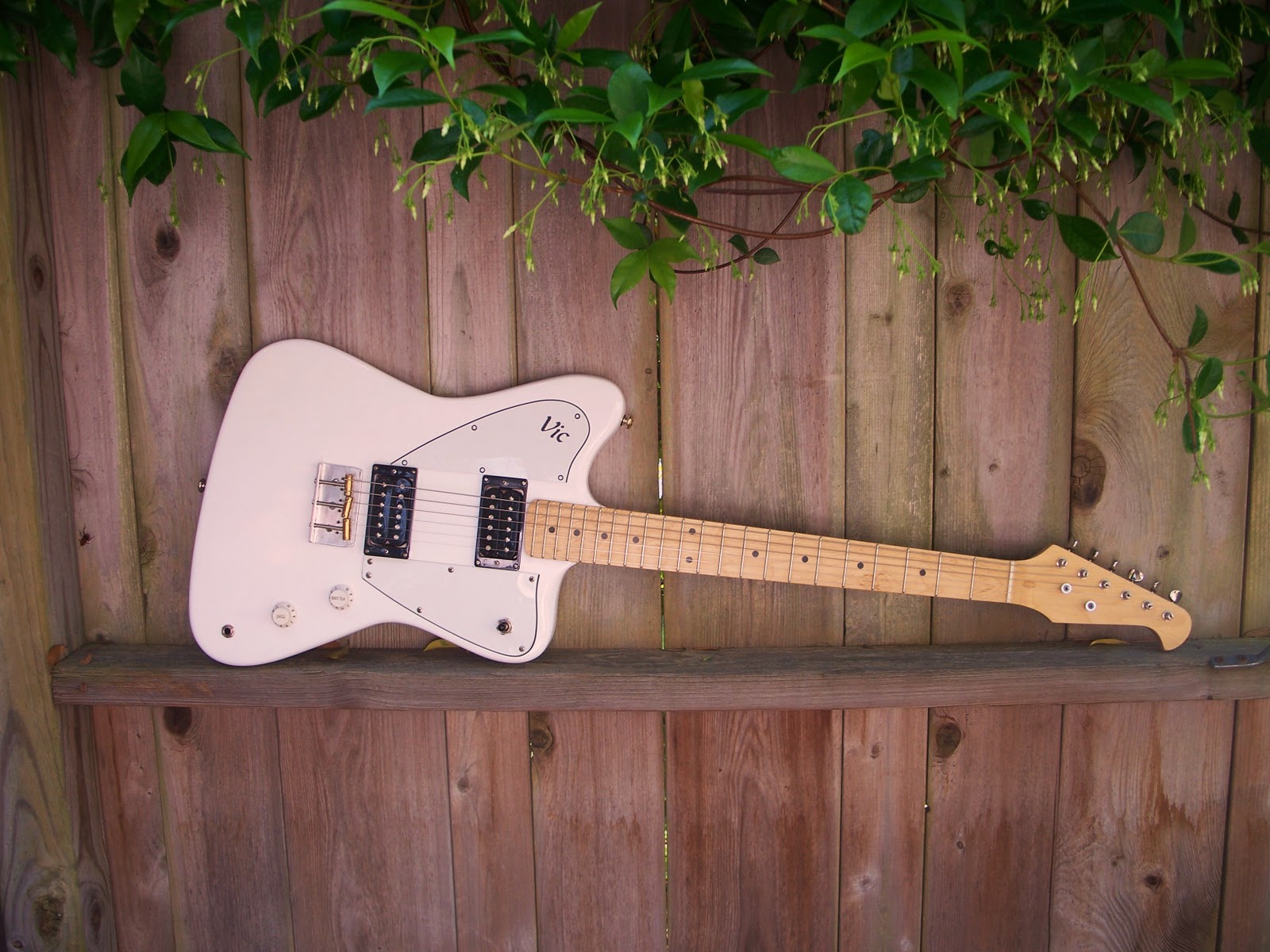 ATLANTIC COAST RECORDING VIC HAND CRAFTED GUITARS