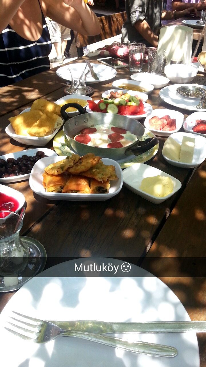 Ayvalik Mutlu Koy Sokak Kusu Youtube