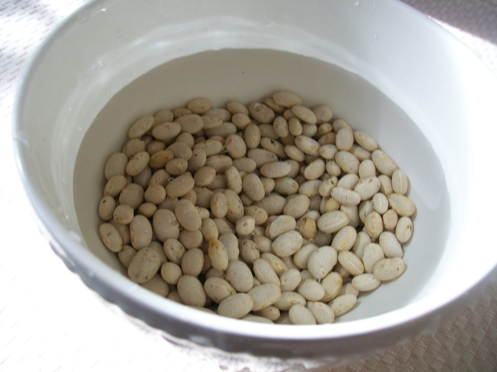 Nuna beans popping bean seeds 10 ct Home Plants, Seeds & Bulbs