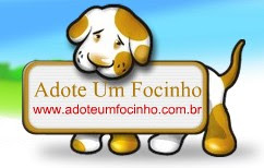 Adote um Focinho!!