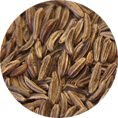 Caraway Seed