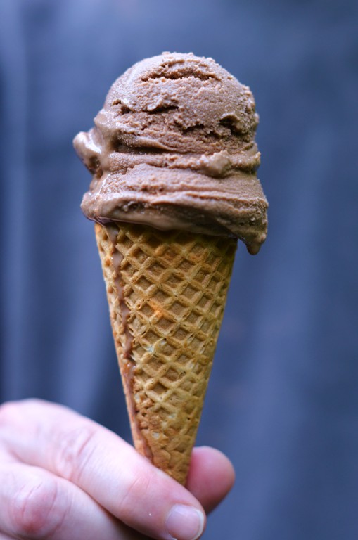 Foodwanderings Dairy Free Coconut Chocolate Ice Cream