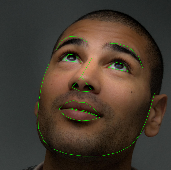 Real-Time Face Pose Estimation