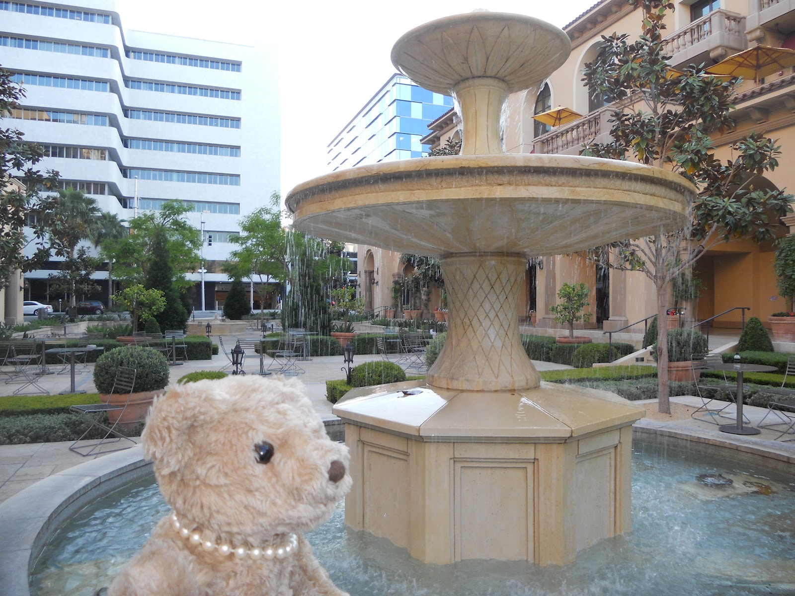 Teddy And Nibs One Coin In A Fountain