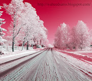ZedGe Wallpapers (winter snow road)