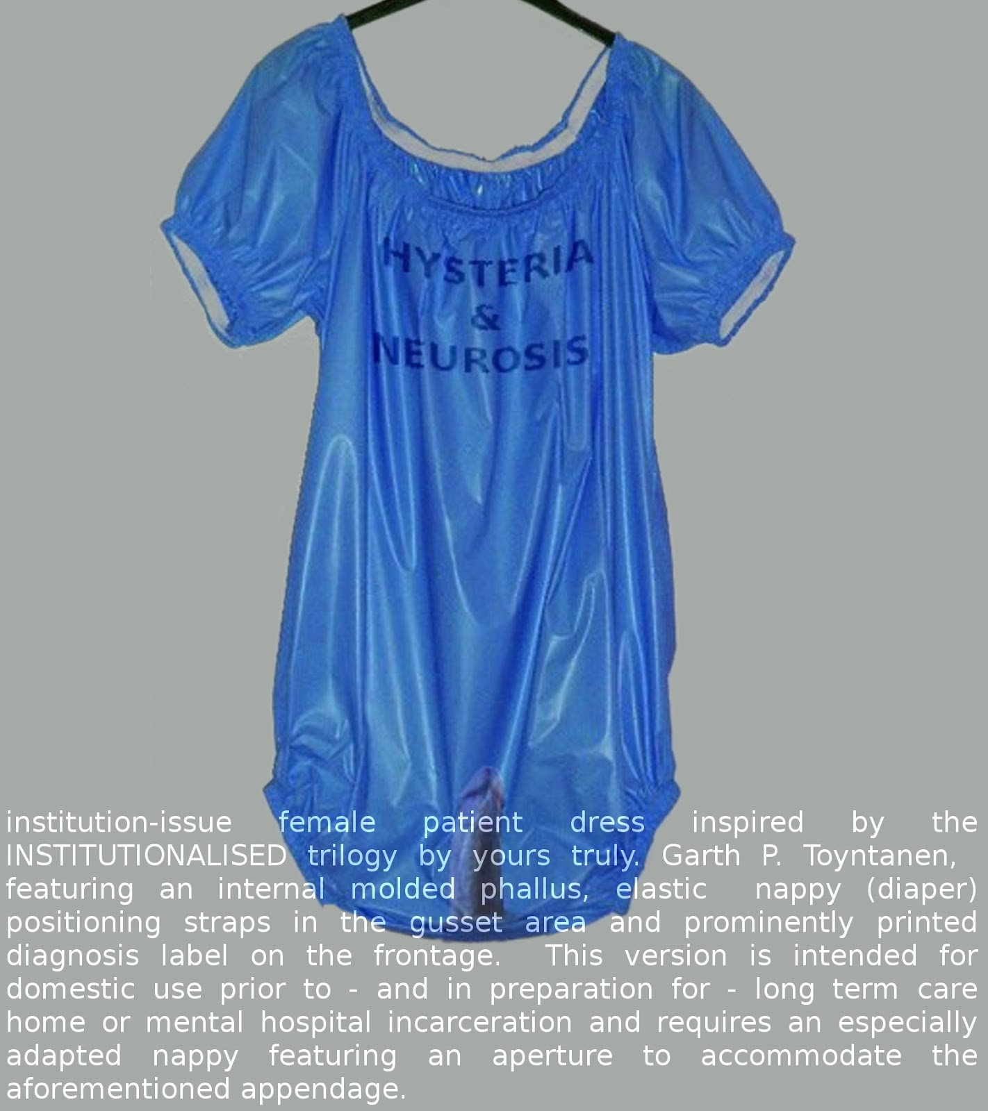 Behind The Barred Window: The Mental Hospital Discipline Dress or Gown