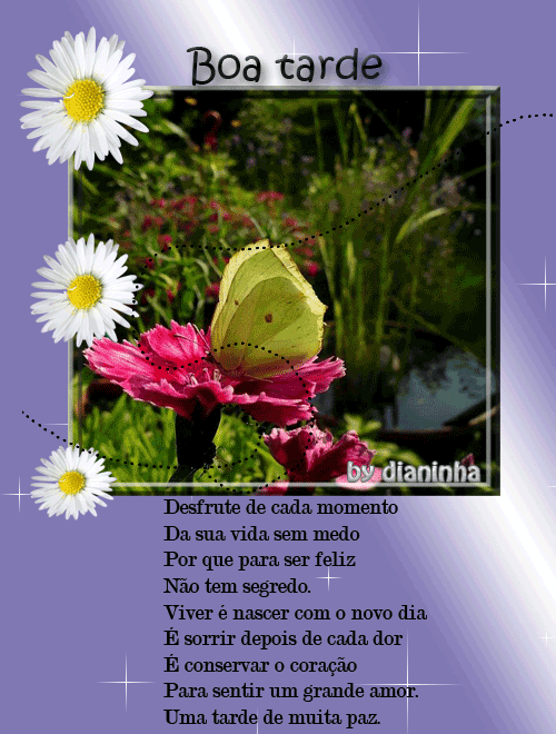 Meu cantinho Gifs de boa tarde