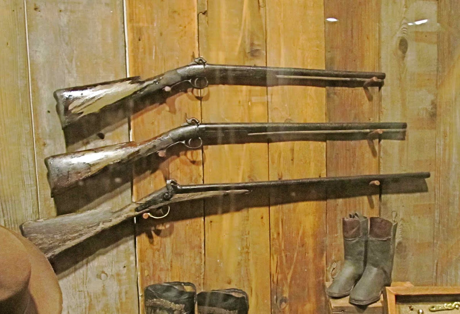 Stephen Bodio's Querencia Arabia Steamboat Museum