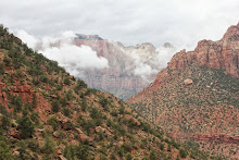 "Zion National Park"