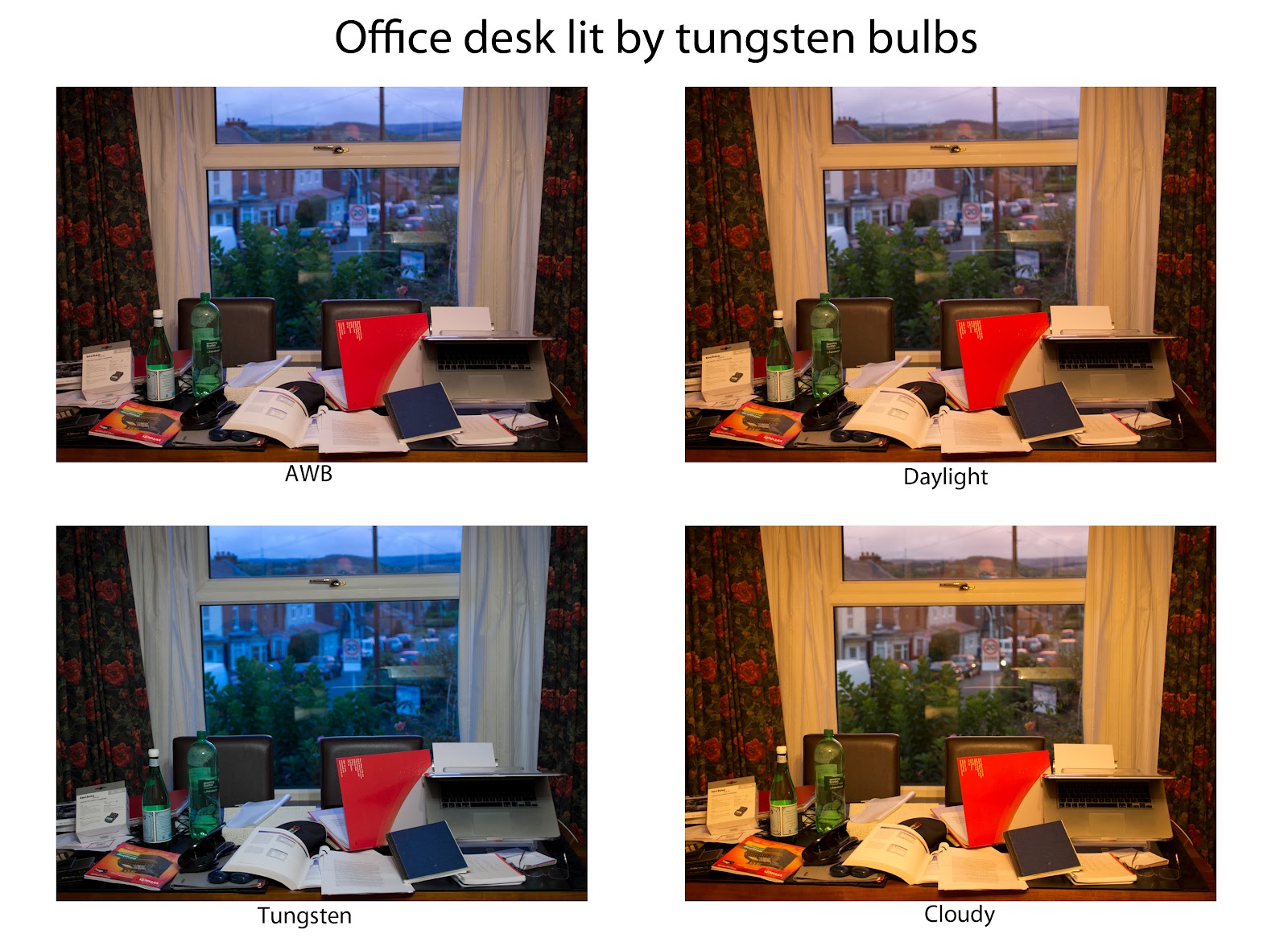 Sale > tungsten light camera setting > in stock