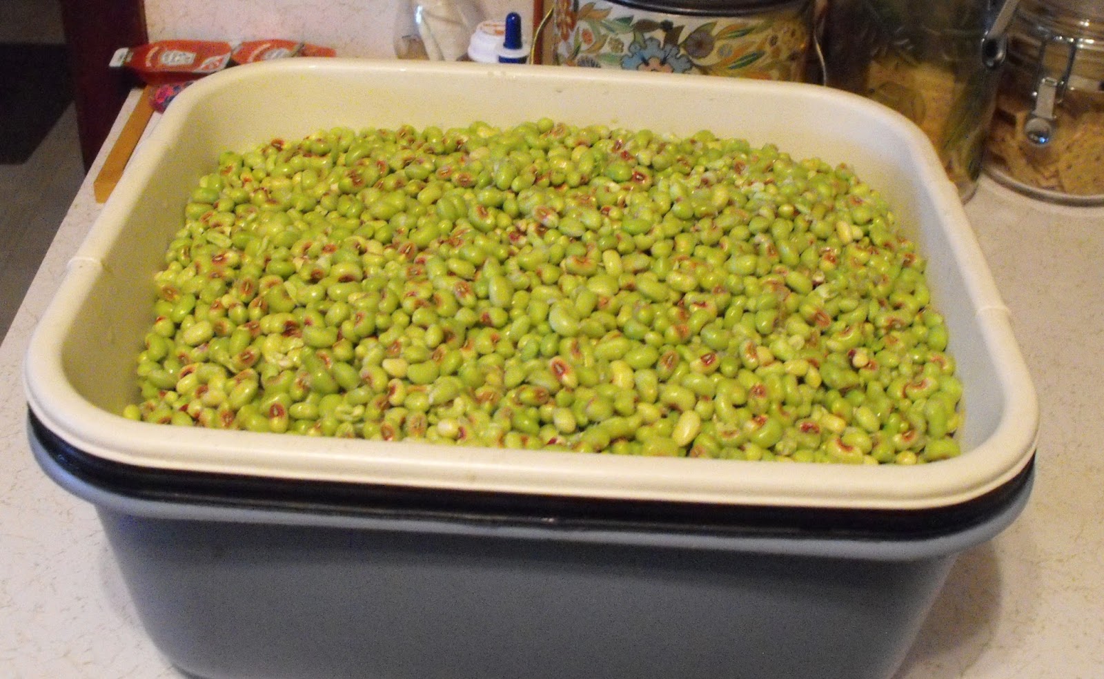 Secrets of a Southern Kitchen How to Freeze Purple Hull Peas