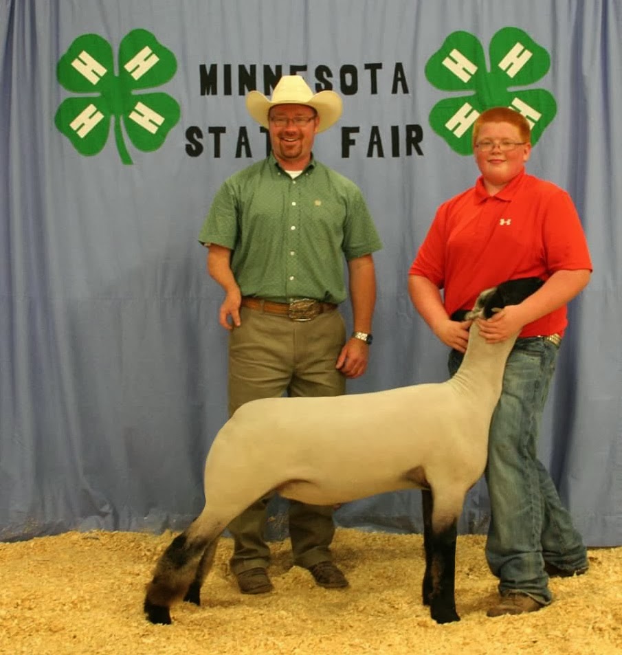 Grand Champion Market Lamb 2013 Minnesota State Fair 4-H