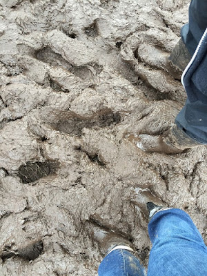 Mud at Wacken Open Air Mud at Wacken Open Air