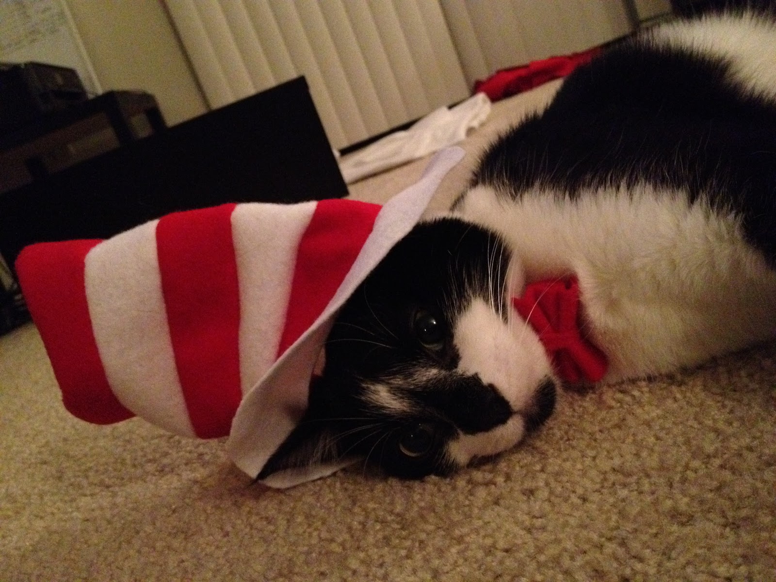Cup of Threads Cat in the Hat