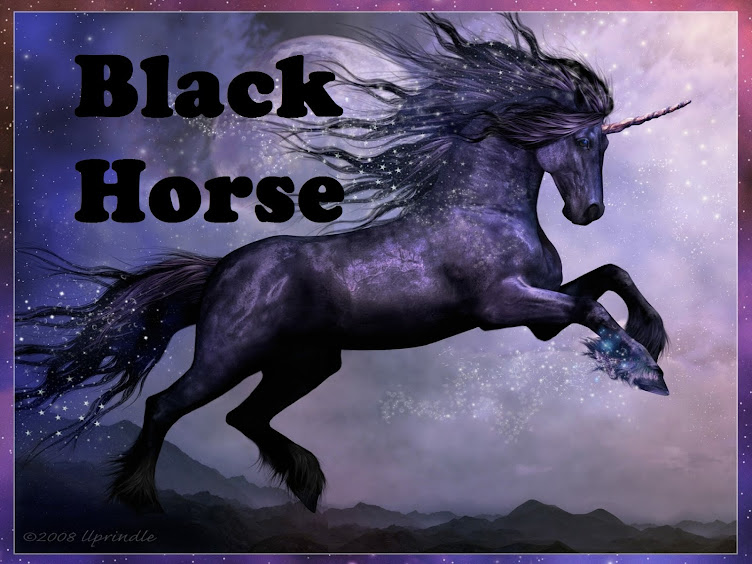 Black Horse Photography