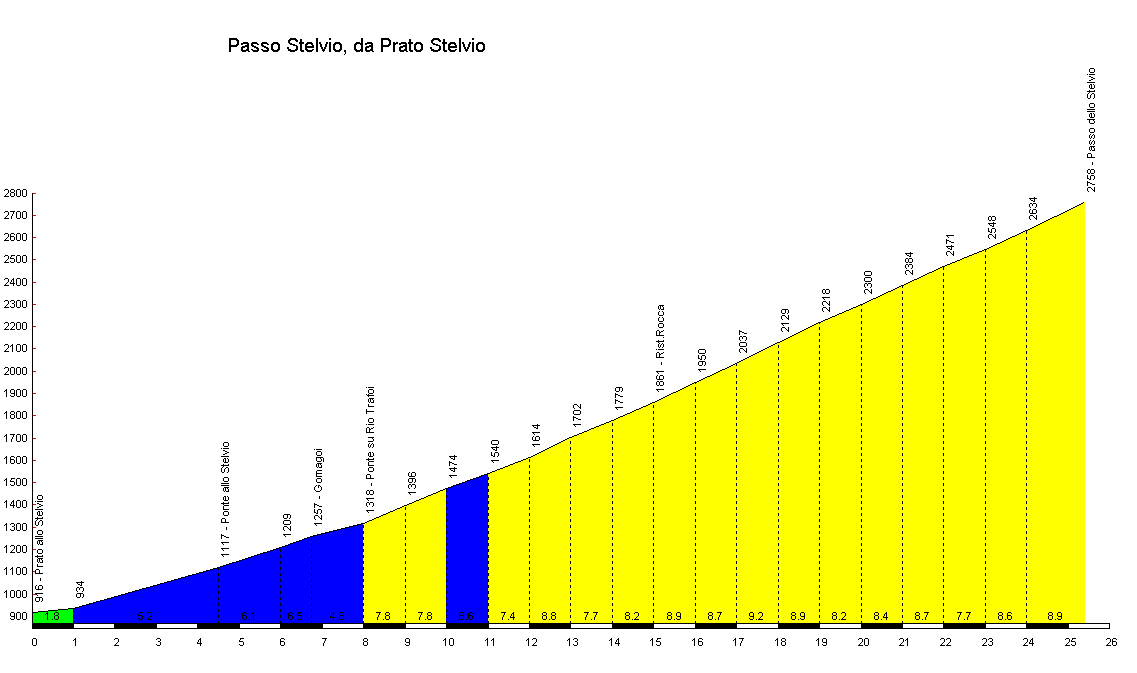 Emanuela Tintori 13 08 2013 Anello Passo Dello Stelvio Da Prato