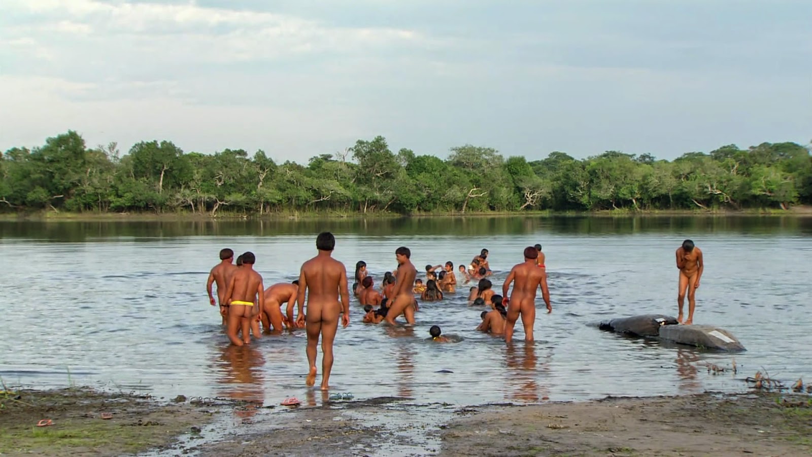 Слезы Амазонки / Tears of the Amazon. 2010. Слезы Амазонки / Tears of the Amazon. 2010.