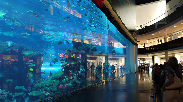 قسم التسويق والاعلانات معكم Dubai+shopping+mall+aquarium