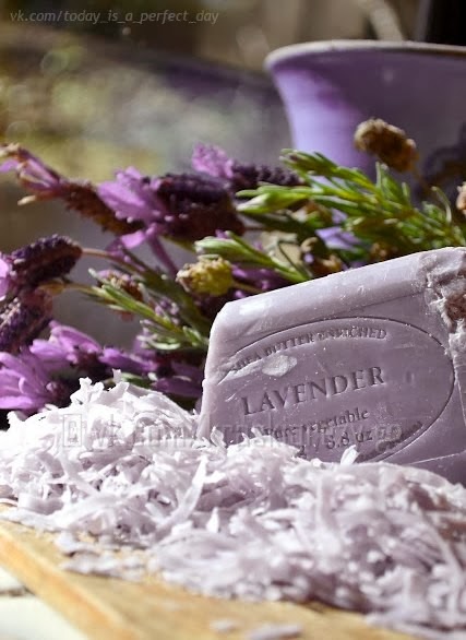 lavanda lavanda