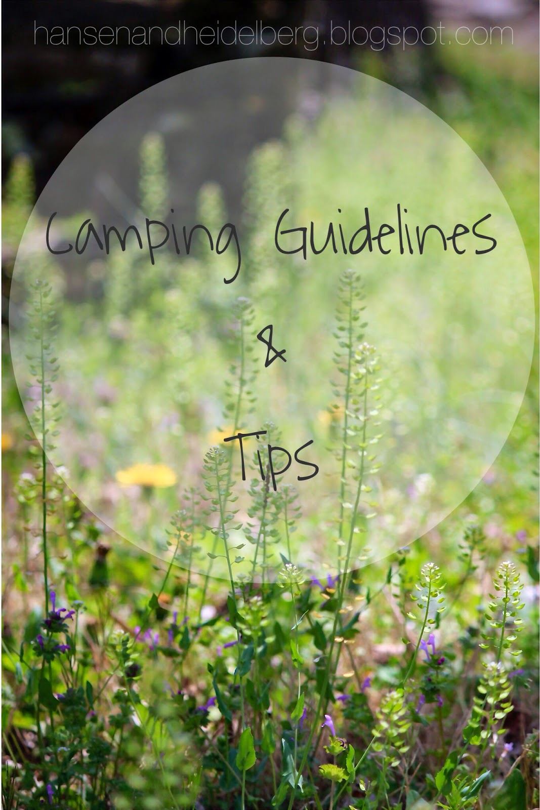 Camping Guidelines & Tips Hansen & Heidelberg Camping Guidelines & Tips