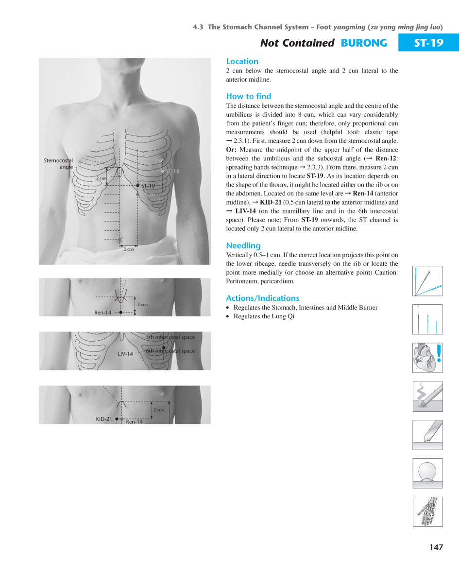 Acupuncture Masters Acupuncture Points Database Stomach channel