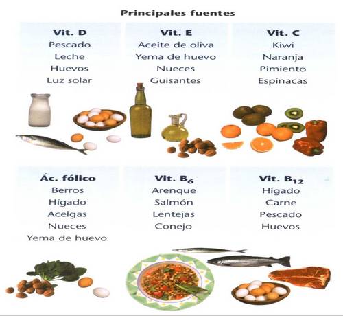 dieta perdida de grasa y aumento muscular dieta perdida de grasa y aumento muscular