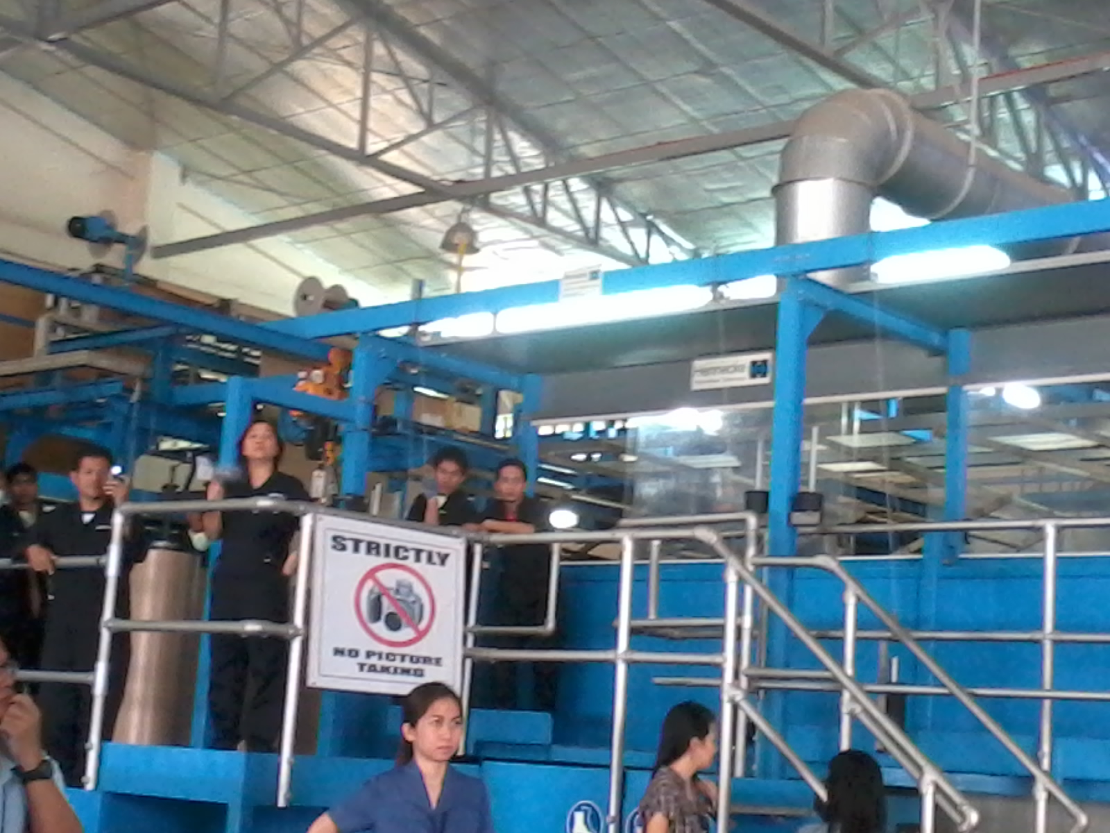 Purple Plum Fairy Uratex Plant Tour A Peek Inside the Uratex Plant