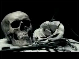 Roses n' Bones