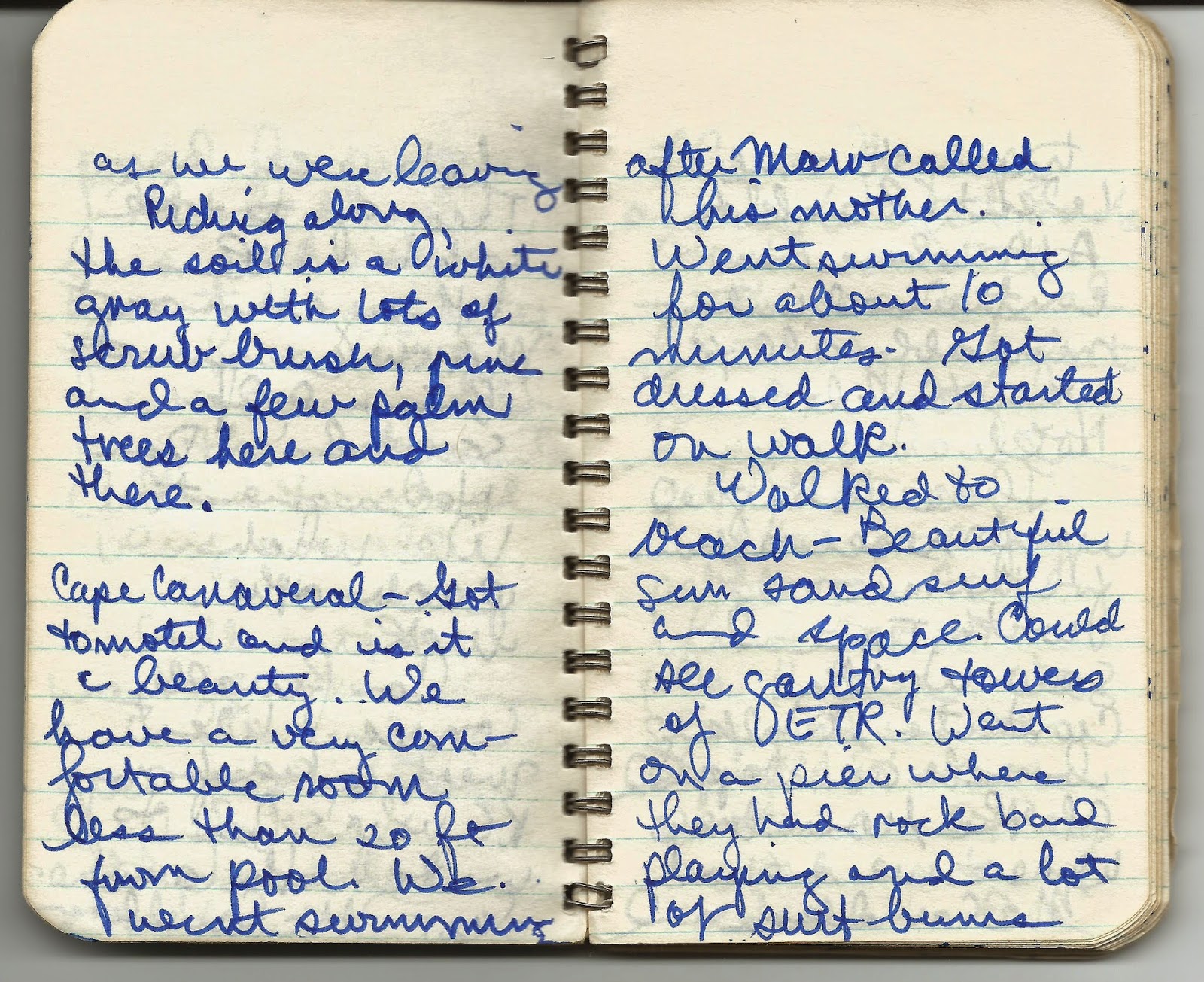 chris mccandless journal