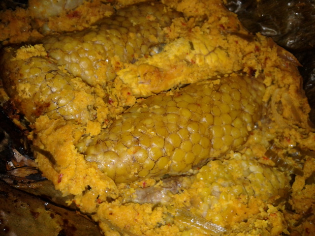 Resepi Telur Ikan Tenggiri