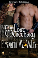 The Lost Mercenary (Book 3 of The Mercenary Tales)