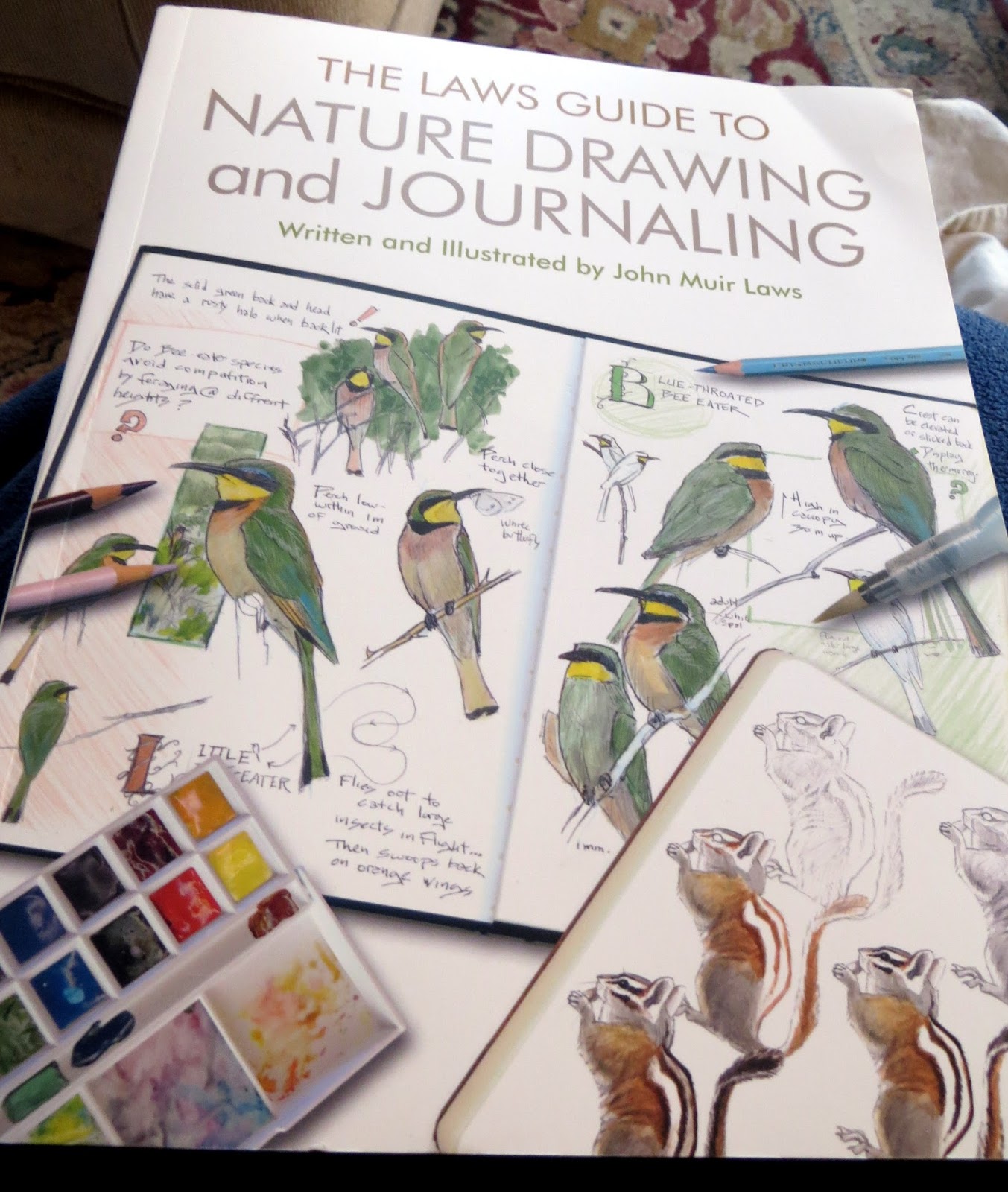 The Laws Guide to Nature Drawing and Journaling