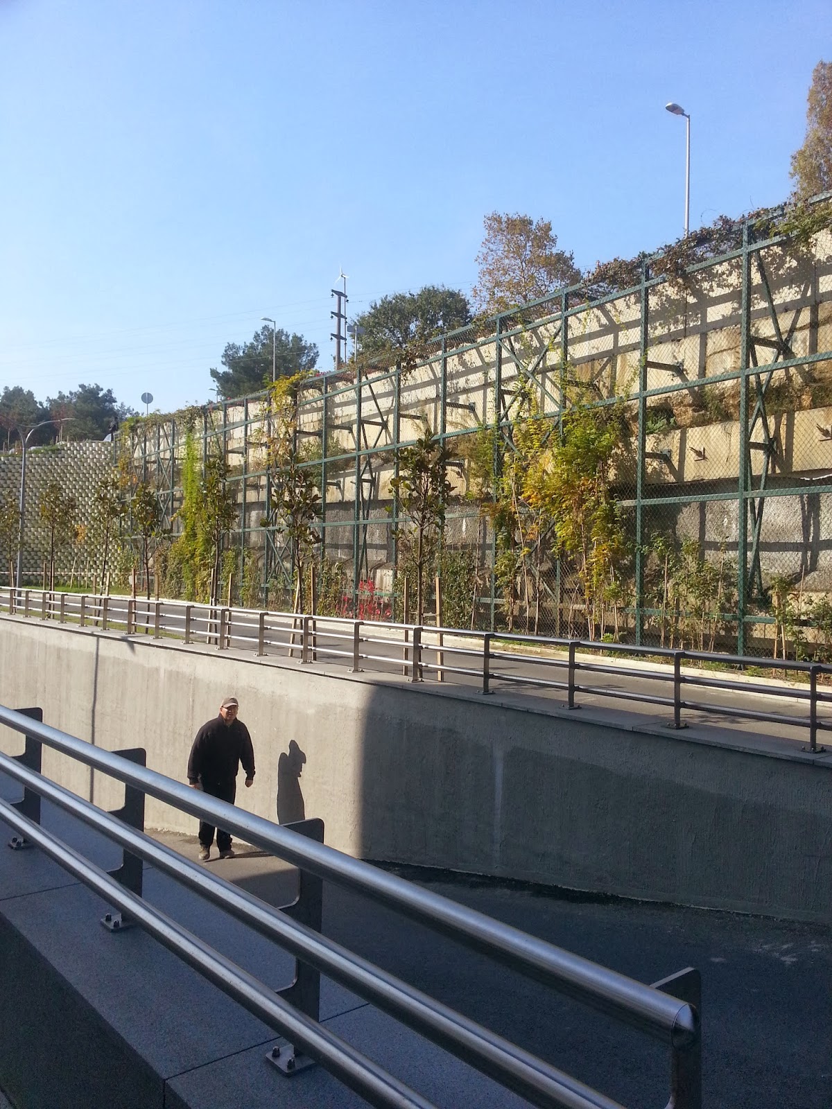 İstanbul Teknik Üniversitesi / Yaşayan Duvar (living wall) Dikey