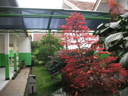 Ravena Zahra Nurahmah Disain Taman Sekolah Cantik Beautiful School Garden Design