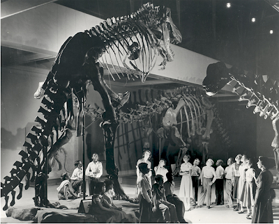 awa collections mistakes awa collections mistakes