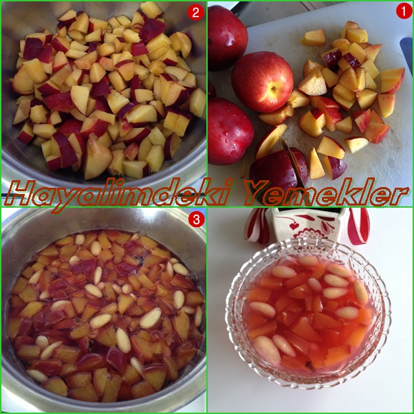 Bademli Nektarin kompostosu resimli Bademli Nektarin kompostosu nasil yapilir