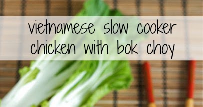 
Vietnamese slow cooker chicken with bok choy
-image
