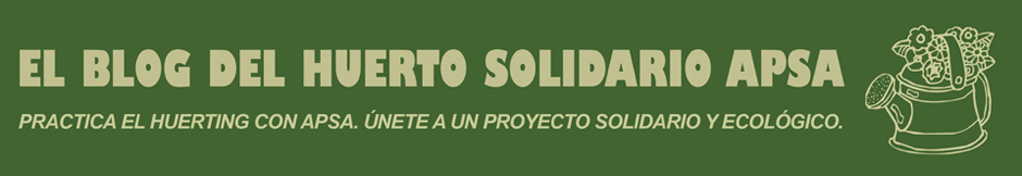 Huerto Solidario APSA