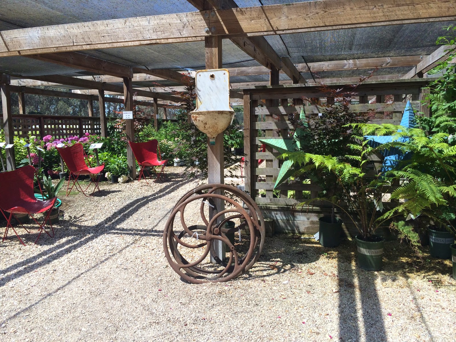 Malka Out Of The Closet Cottage Gardens Of Petaluma