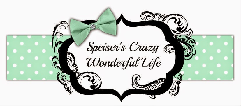 Our Crazy Wonderful Life