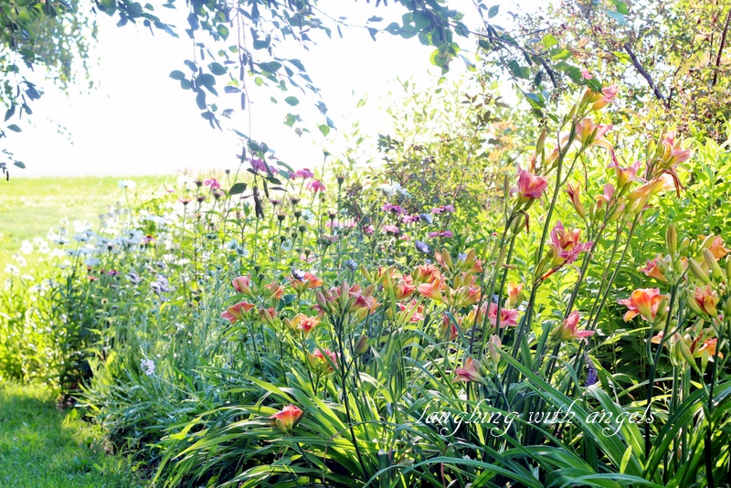 Grace Gardens This was July in the garden...