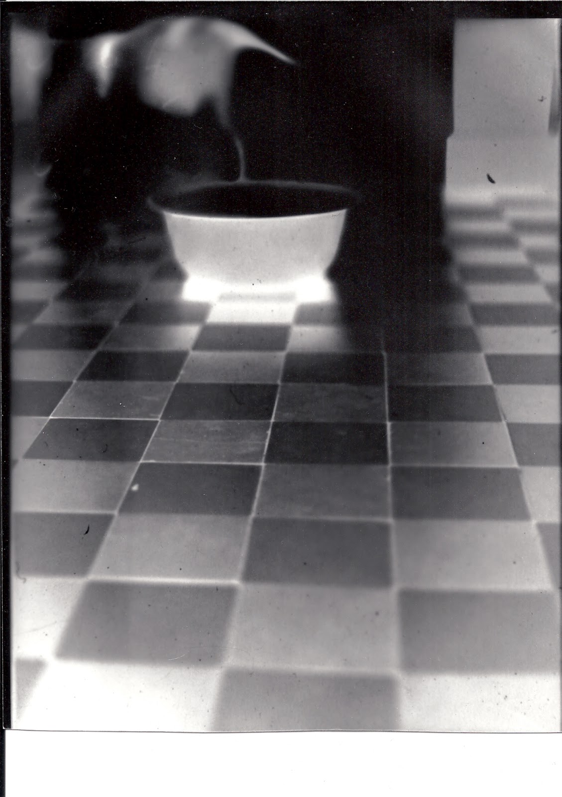 Http Www Arslibri Com Collections Gookinlibrary Pdf