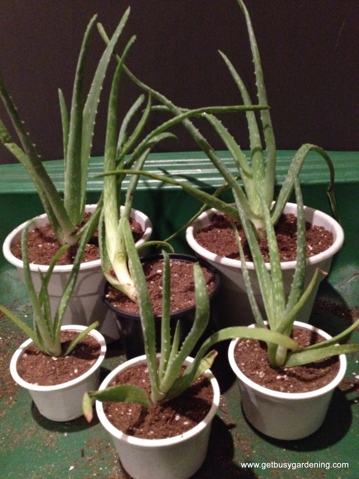 301 Moved Permanently